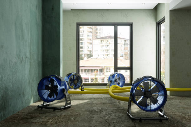 Best Ceiling water damage repair  in Irrigon, OR